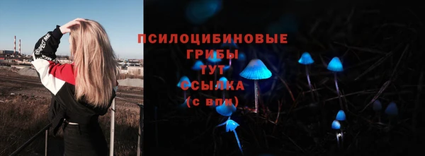 синтетический гашиш Верхний Тагил